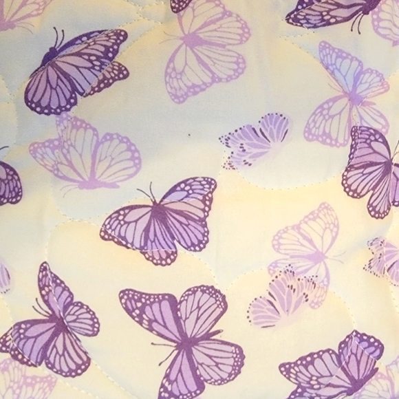 Betsey Johnson Butterfly Dance 2 Piece Reversible TWIN Quilt Set - Picture 2 of 4